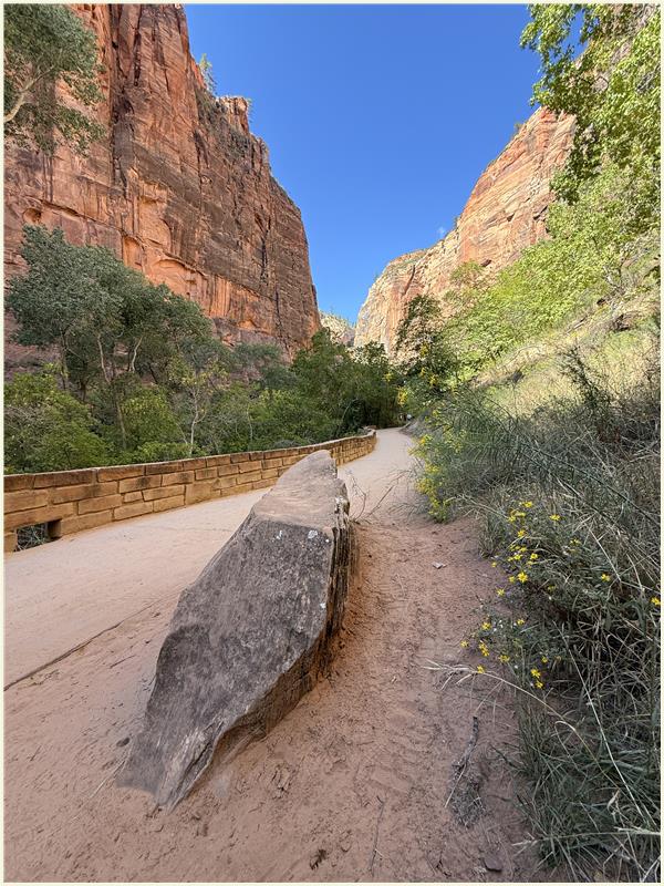 Click to view picture at full resolution