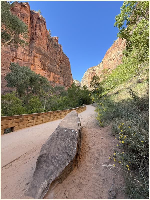 Click to view picture at full resolution