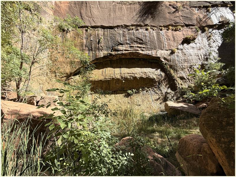 Click to view picture at full resolution