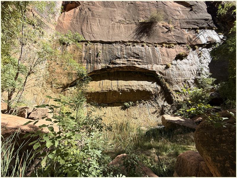 Click to view picture at full resolution