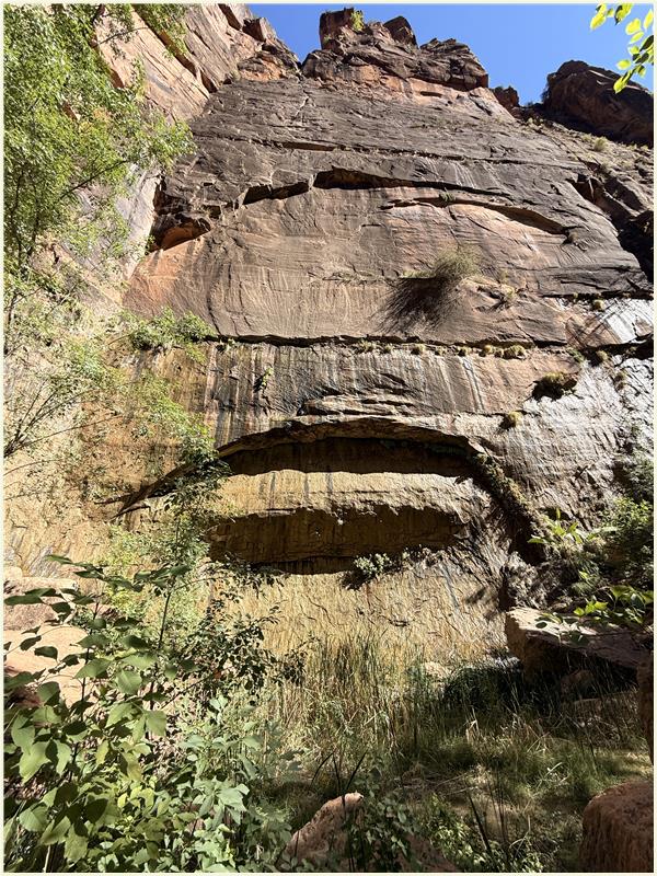 Click to view picture at full resolution