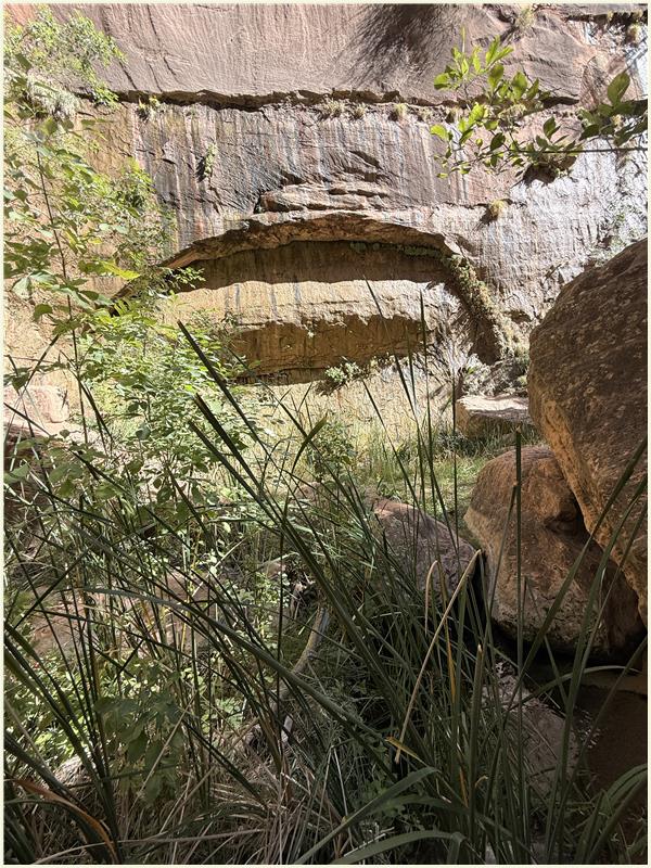 Click to view picture at full resolution