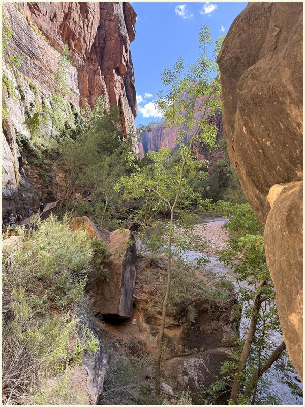 Click to view picture at full resolution