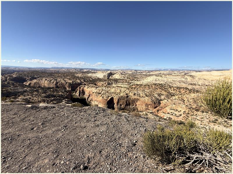 Click to view picture at full resolution