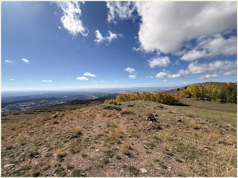 Click to view picture at full resolution