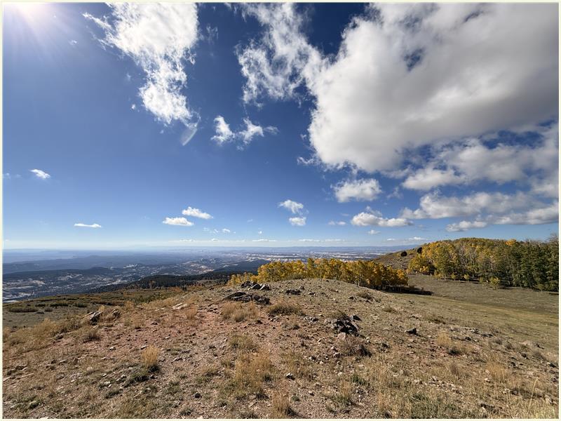 Click to view picture at full resolution