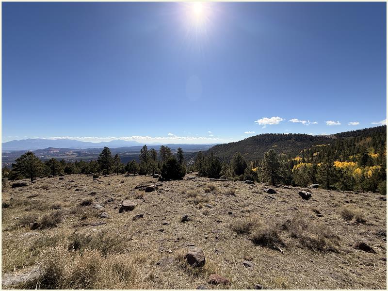 Click to view picture at full resolution