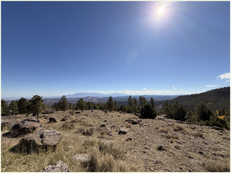 Click to view picture at full resolution