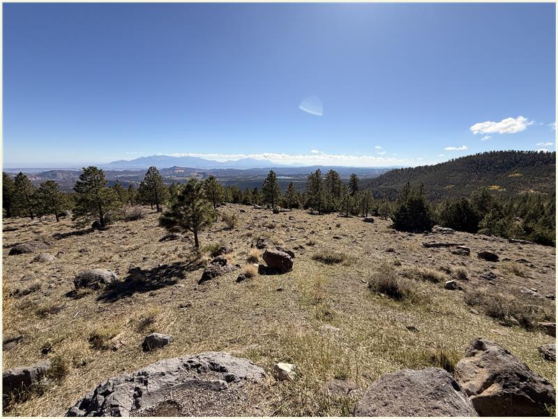 Click to view picture at full resolution