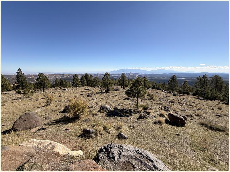 Click to view picture at full resolution