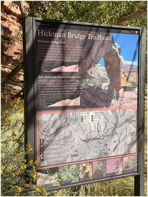 Click to view picture at full resolution