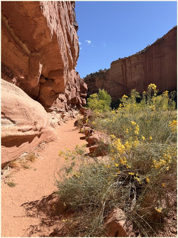 Click to view picture at full resolution