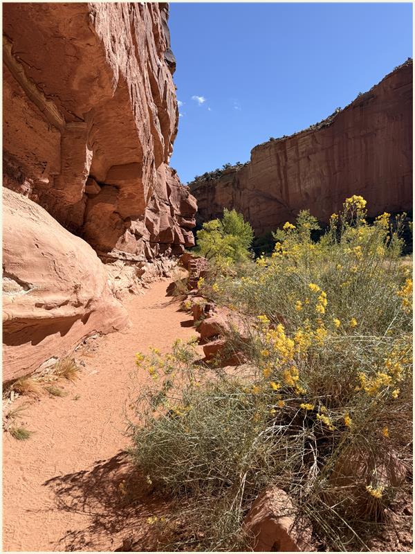 Click to view picture at full resolution