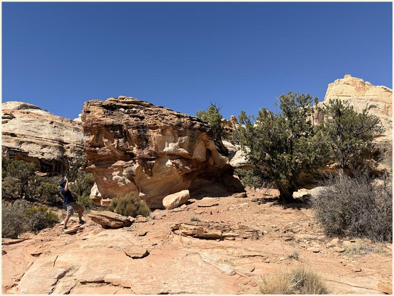 Click to view picture at full resolution