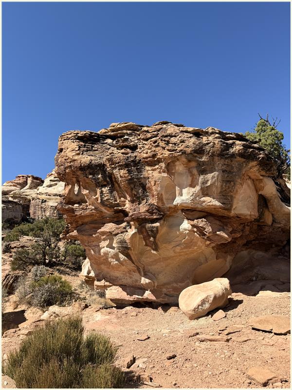 Click to view picture at full resolution