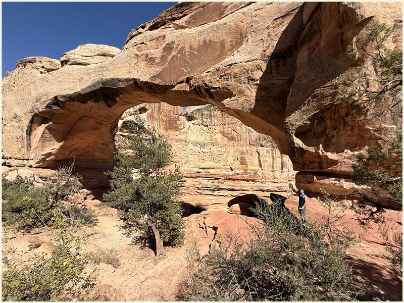 Click to view picture at full resolution