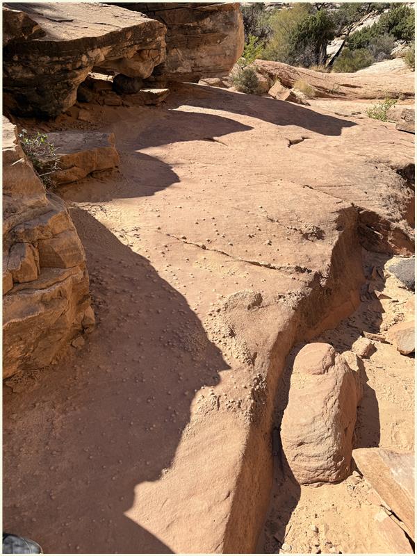 Click to view picture at full resolution