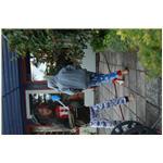 Sommer  080711 195027_01