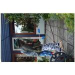 Sommer  080711 195029