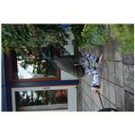 Sommer  080711 195037