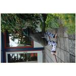 Sommer  080711 195038