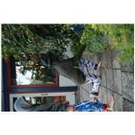 Sommer  080711 195039