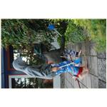 Sommer  080711 195039_01