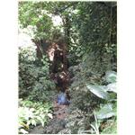 IMG_0770