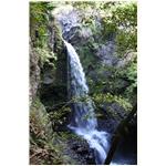 IMG_8365