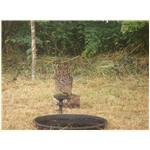 Sommer 2014 097