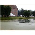 Sommer 2014 238