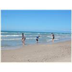 Sommer 2014 248a