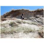 Sommer 2014 253