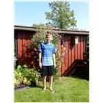 Sommer 2014 262