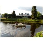 Sommer 2014 275
