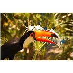 aves (13)