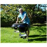 Iver med griller