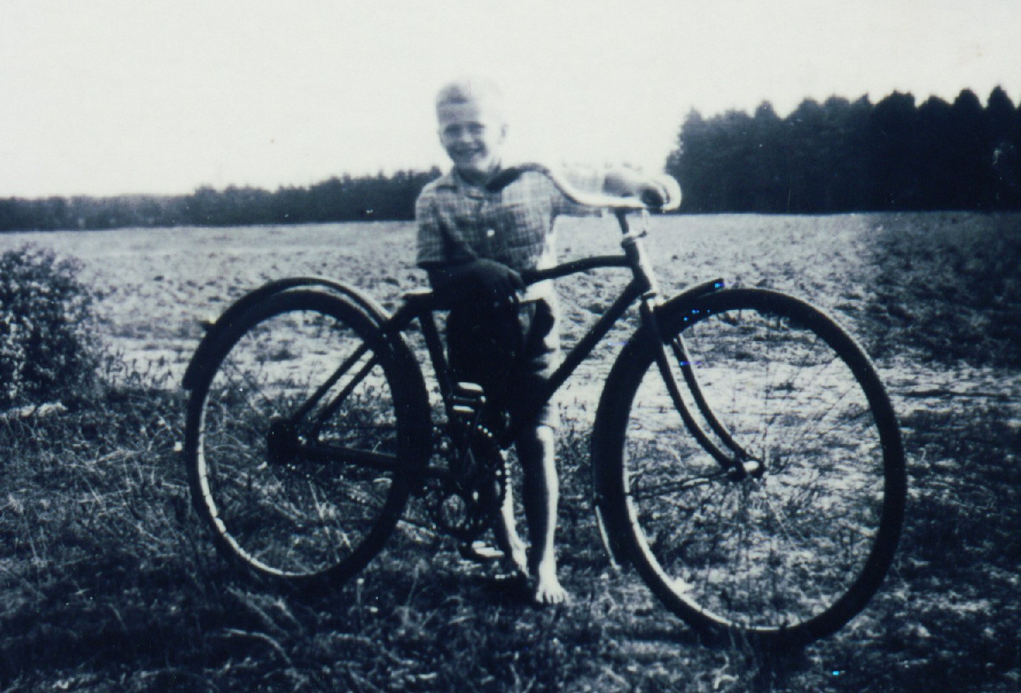 Alfred Svendsen Skoven
