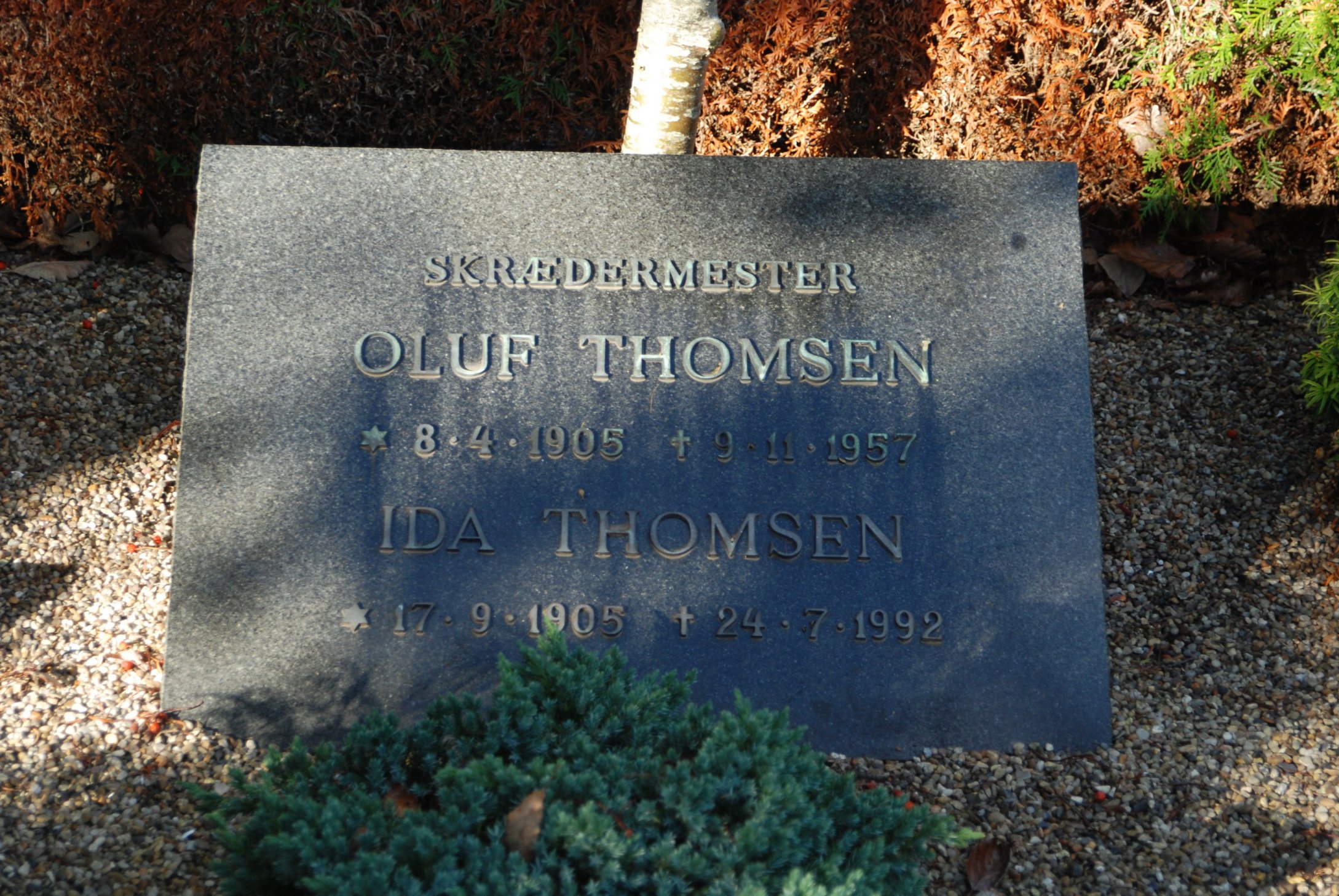 Oluf Christian Thomsen
