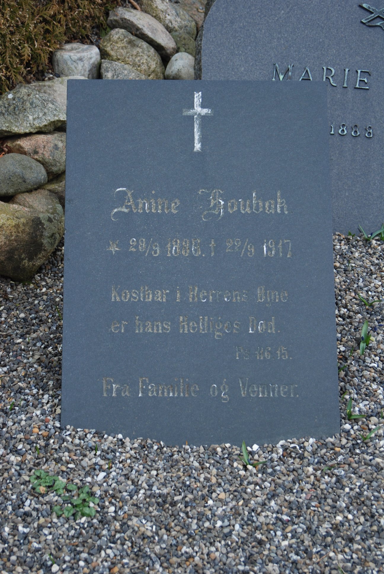Johanne Anine Kristiansen