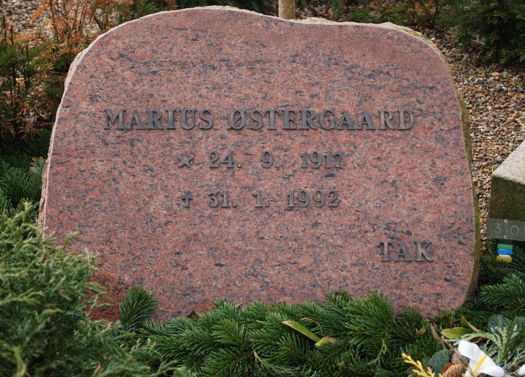 Marius Østergaard