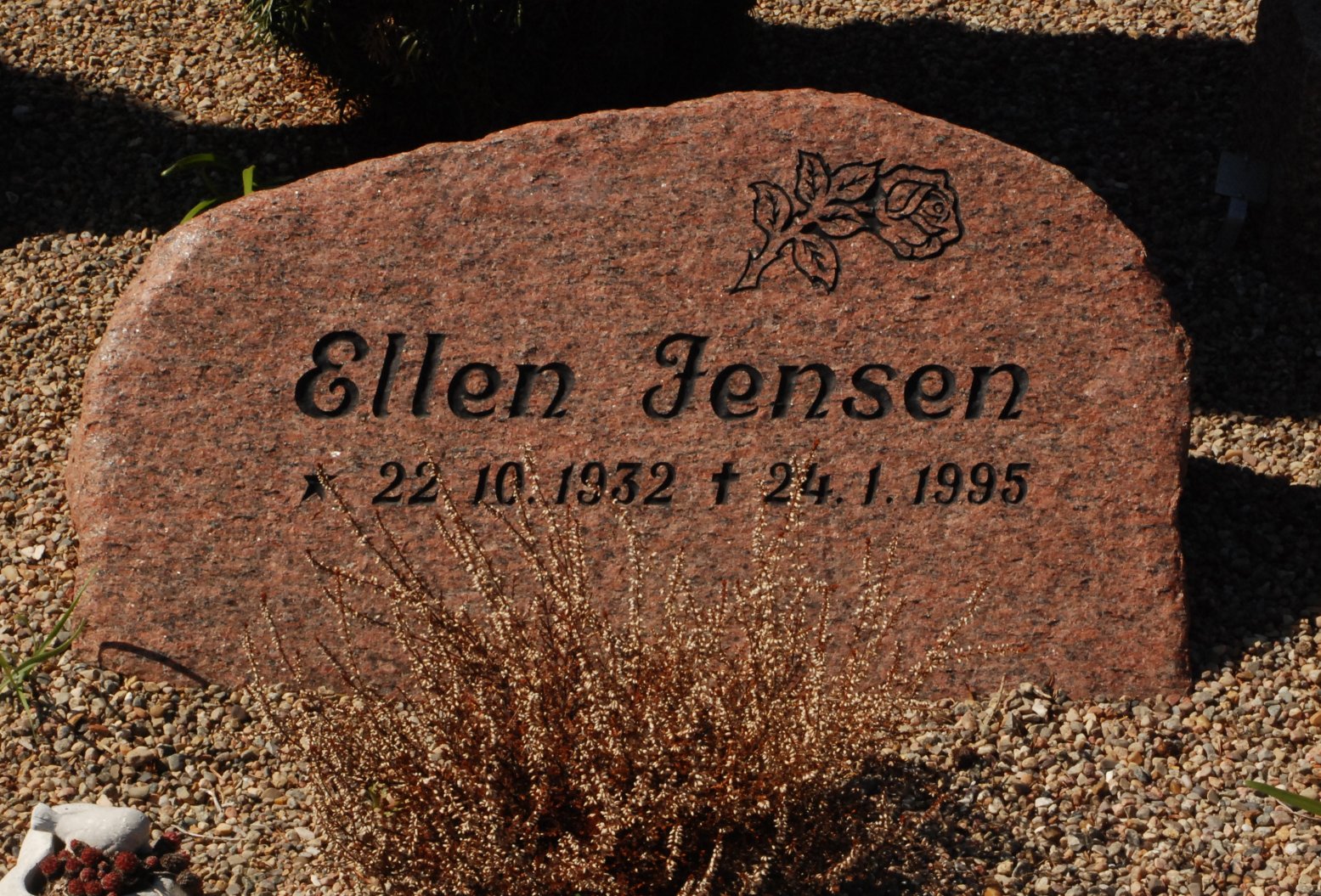 Ellen Jensen