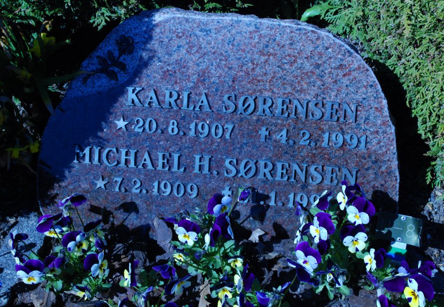 Michael Heilesen Sørensen