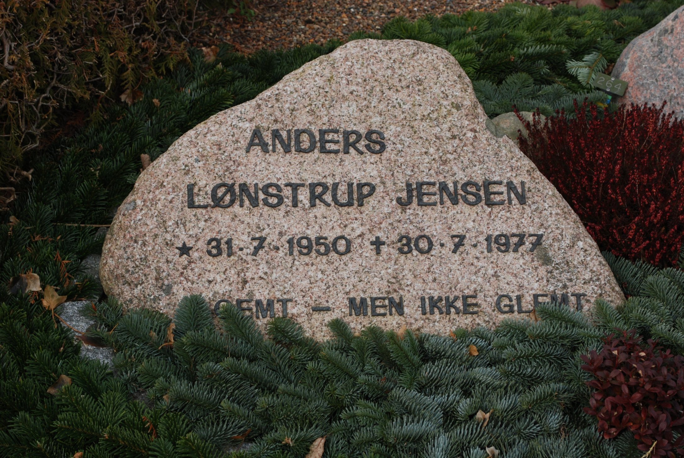 Anders Lønstrup Jensen